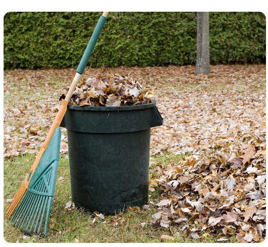 YARD WASTE REMOVAL